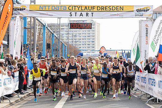 NTT DATA Citylauf Dresden: Bestes Wetter, starke Zeiten und mehr als 2.600 Teilnehmer